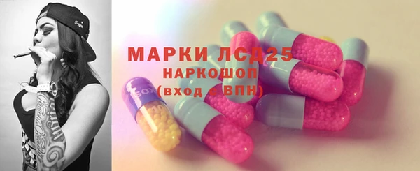 прущий лед Аркадак