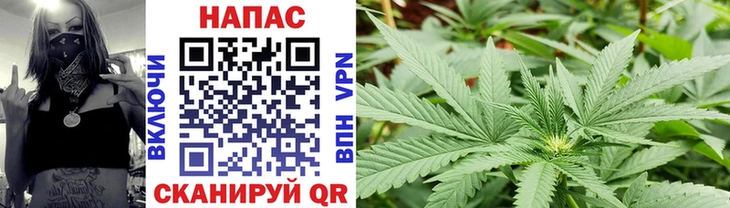 Канабис марихуана  Белая Холуница 
